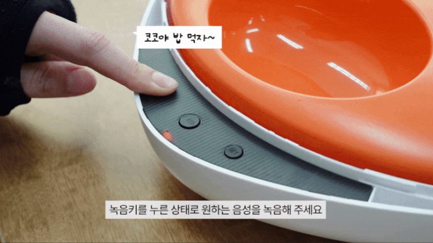 [무료배송] 코코시루 스마트 5구 안심 자동 급식기 C5BPF 27번째