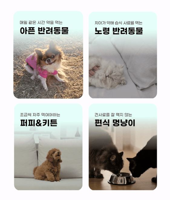 [무료배송] 코코시루 스마트 5구 안심 자동 급식기 C5BPF 13번째