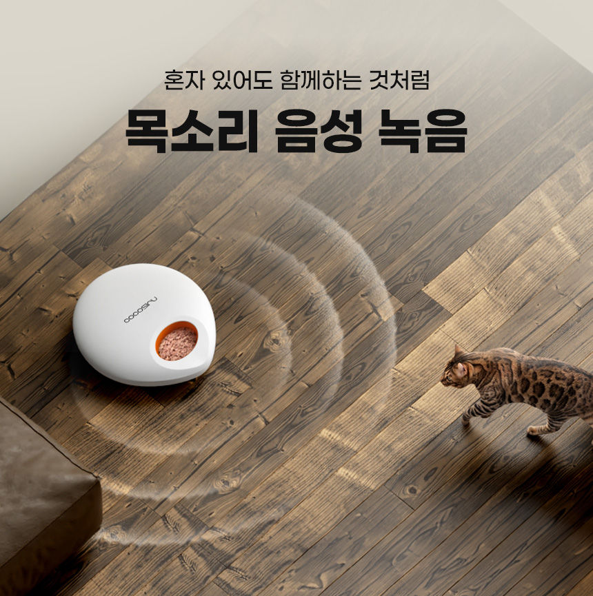 [무료배송] 코코시루 스마트 5구 안심 자동 급식기 C5BPF 25번째