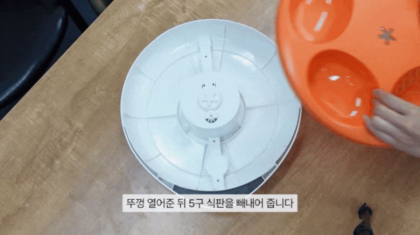 [무료배송] 코코시루 스마트 5구 안심 자동 급식기 C5BPF 22번째