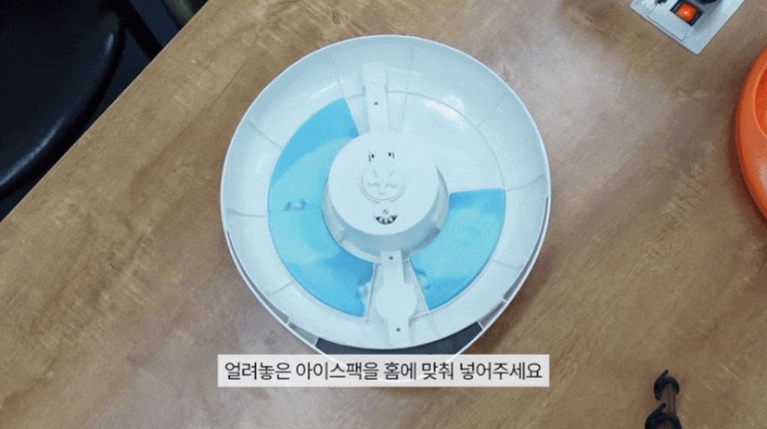 [무료배송] 코코시루 스마트 5구 안심 자동 급식기 C5BPF 23번째