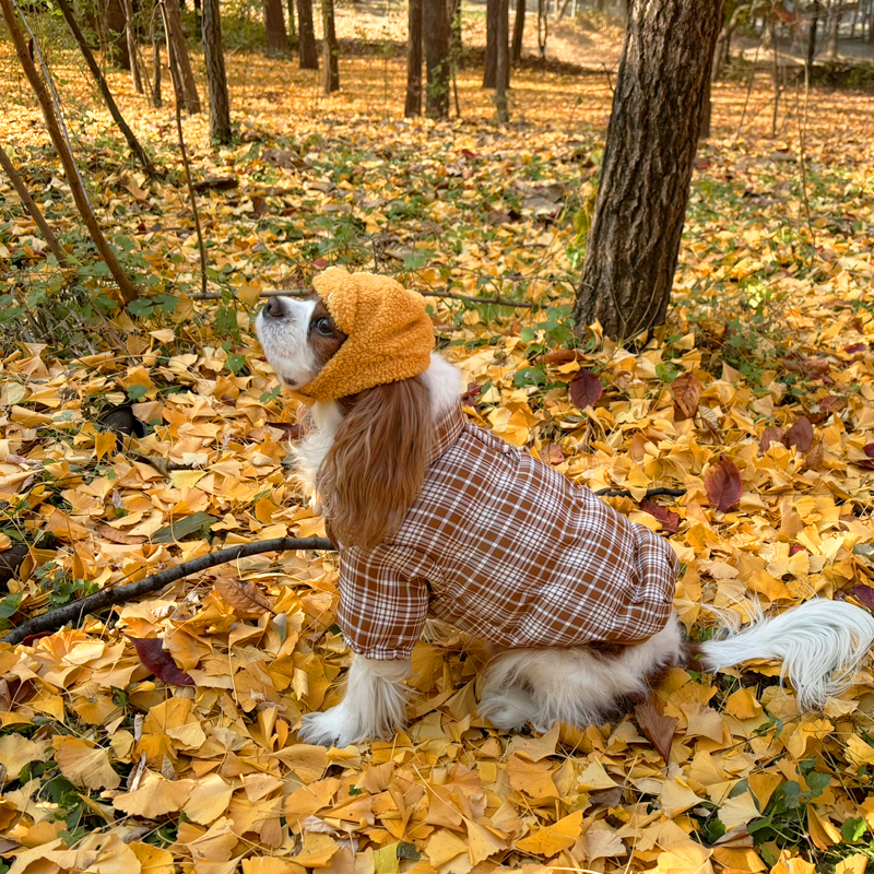 [무료배송] 해피댕댕 D군밤모자 S-L 12번째