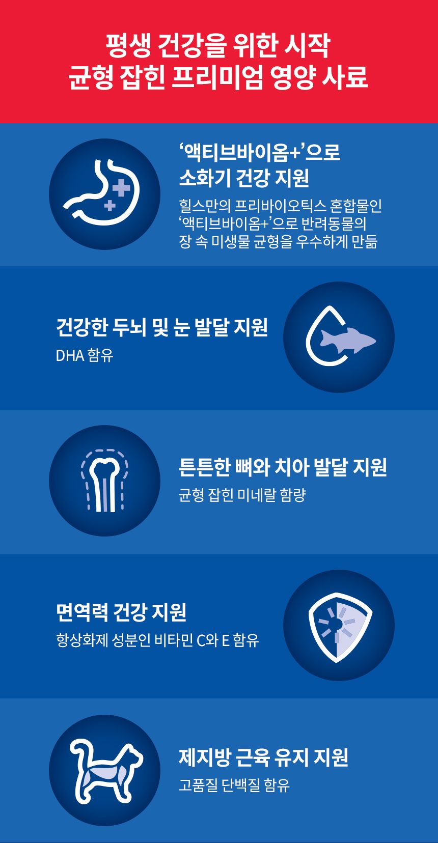 힐스 캣 키튼 치킨 1.6kg 2번째