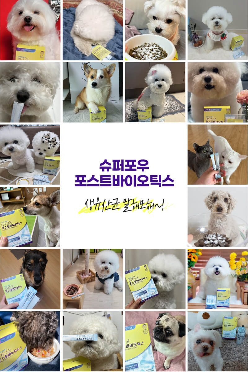 [무료배송] 슈퍼포우 독 유산균 포스트바이오틱스 장건강 30포 2번째