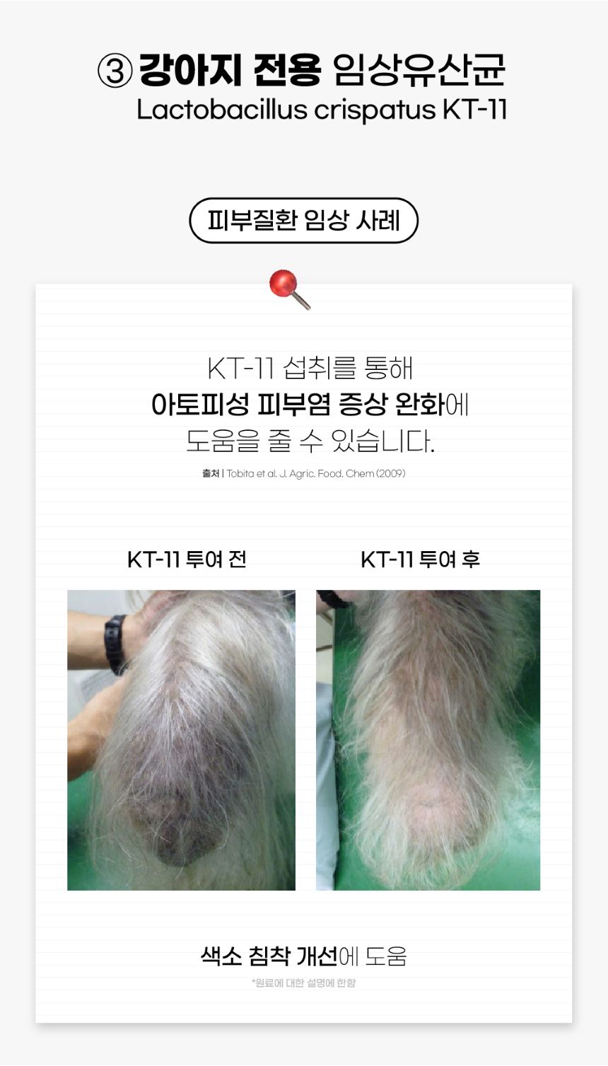 [무료배송] 슈퍼포우 독 유산균 포스트바이오틱스 장건강 30포 10번째