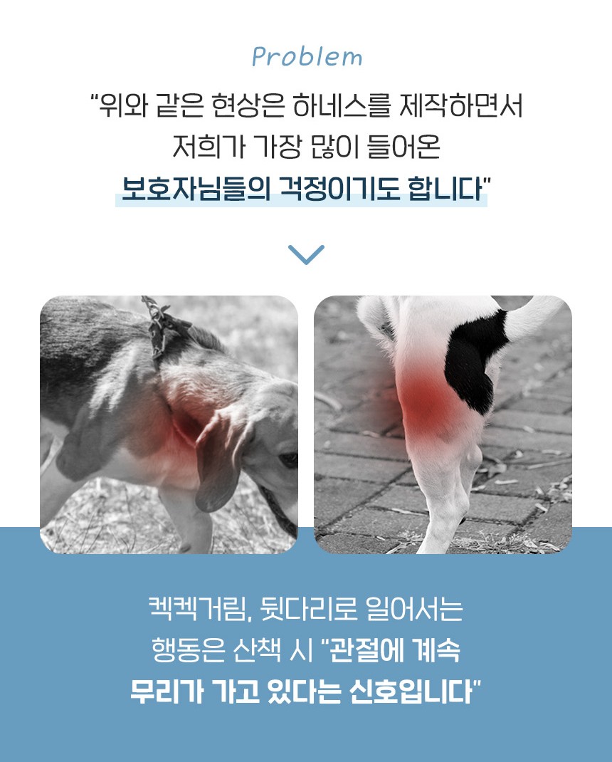[NEW신상][무료배송] 펫베오 브레드이발소 워크윗 H형 하네스 가슴줄 베이지/핑크/소라 XS-L 7번째