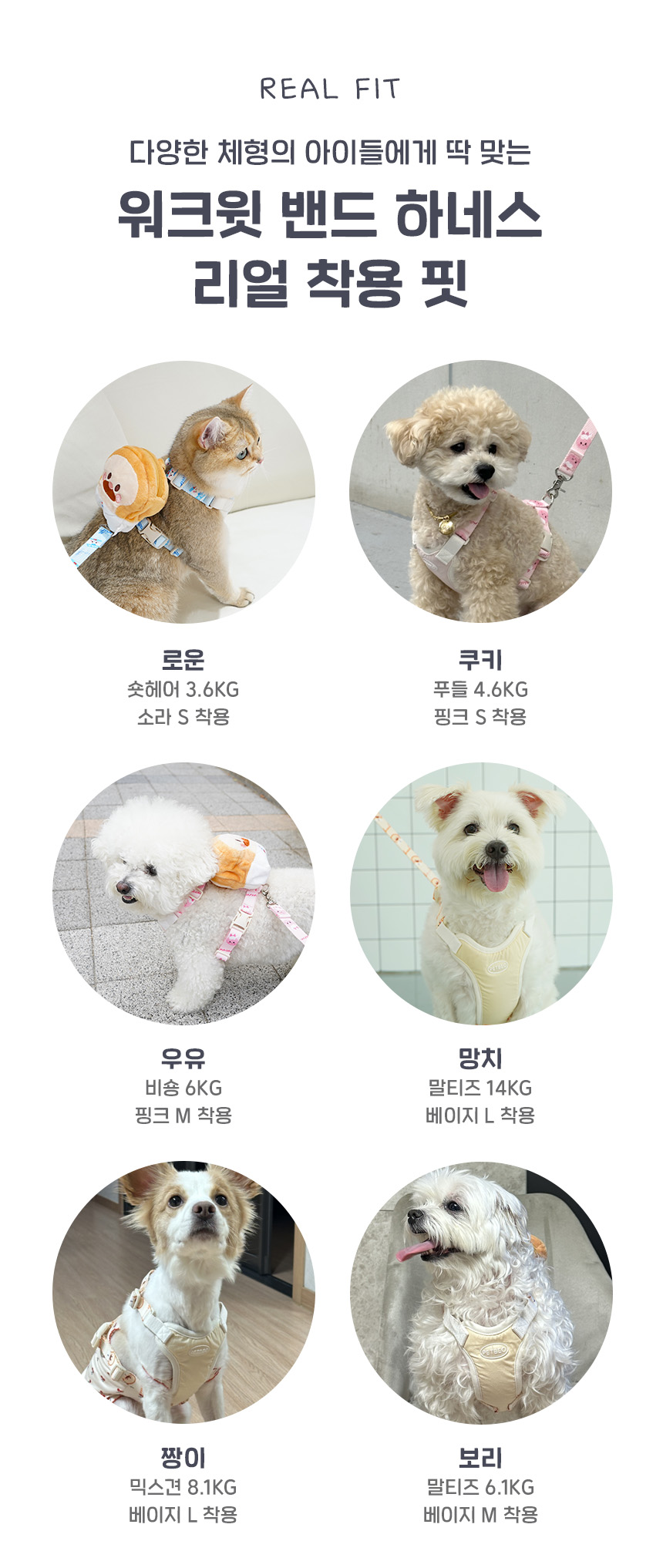 [NEW신상][무료배송] 펫베오 브레드이발소 워크윗 H형 하네스 가슴줄 베이지/핑크/소라 XS-L 26번째