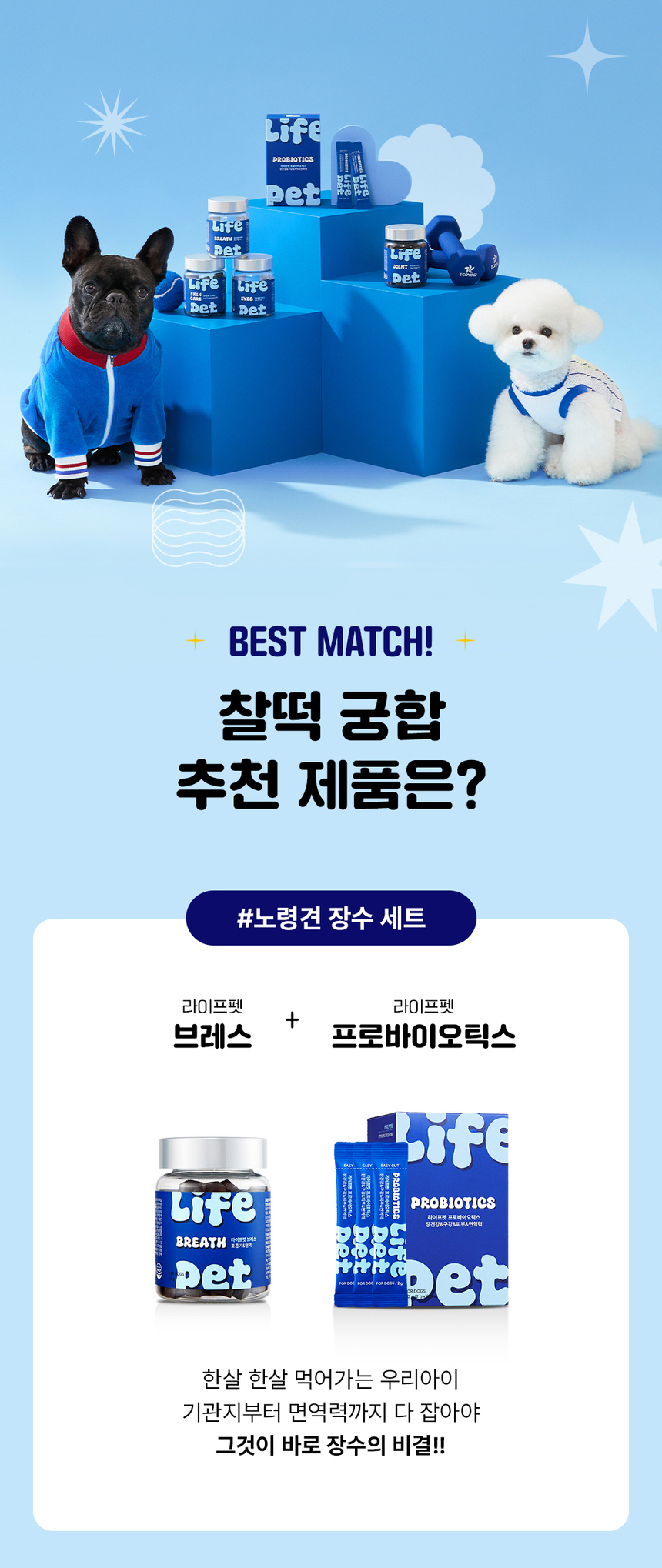 [무료배송] [체험팩] 라이프펫 강아지 영양제 브레스 미니 20g 36번째