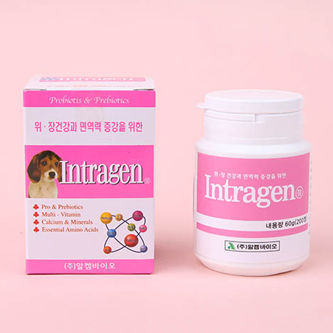 [추가증정] 인트라젠 종합 영양제 타블렛 200정 + 위장&면역 10p 증정 0번