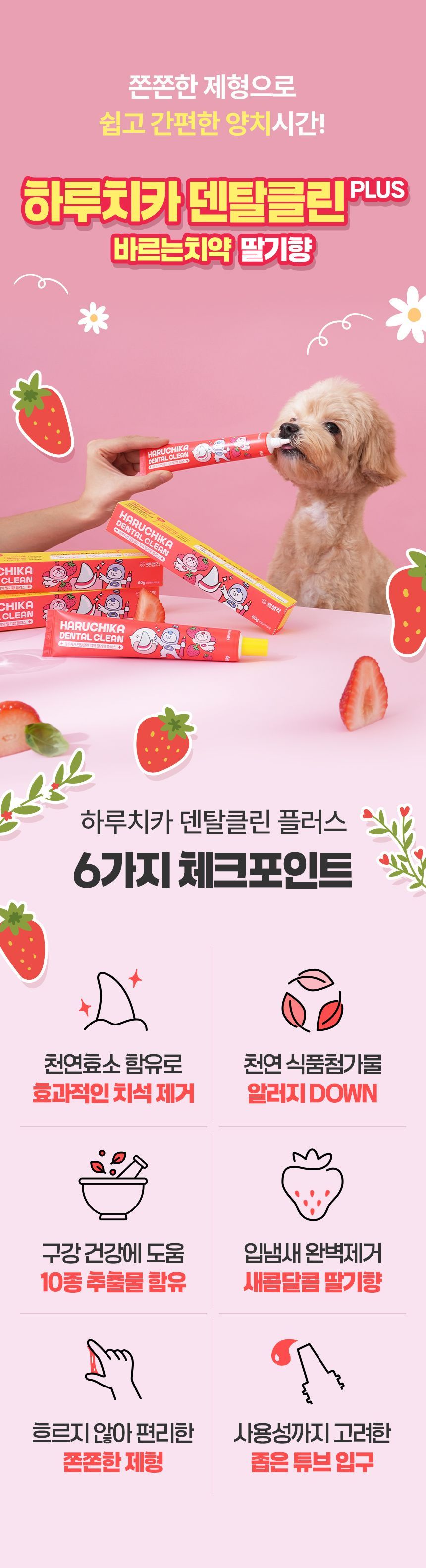 펫생각 구강관리 4종 [모음] 5번째