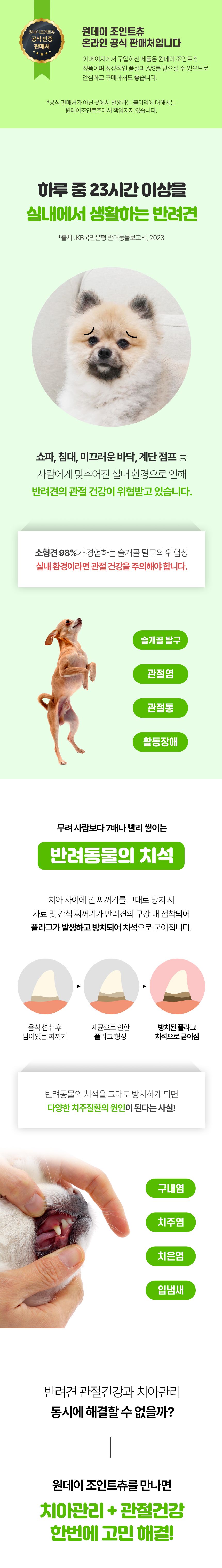 [NEW신상]원데이원테블릿 독 원데이조인트츄 덴탈껌 180g (12개입) 3번째