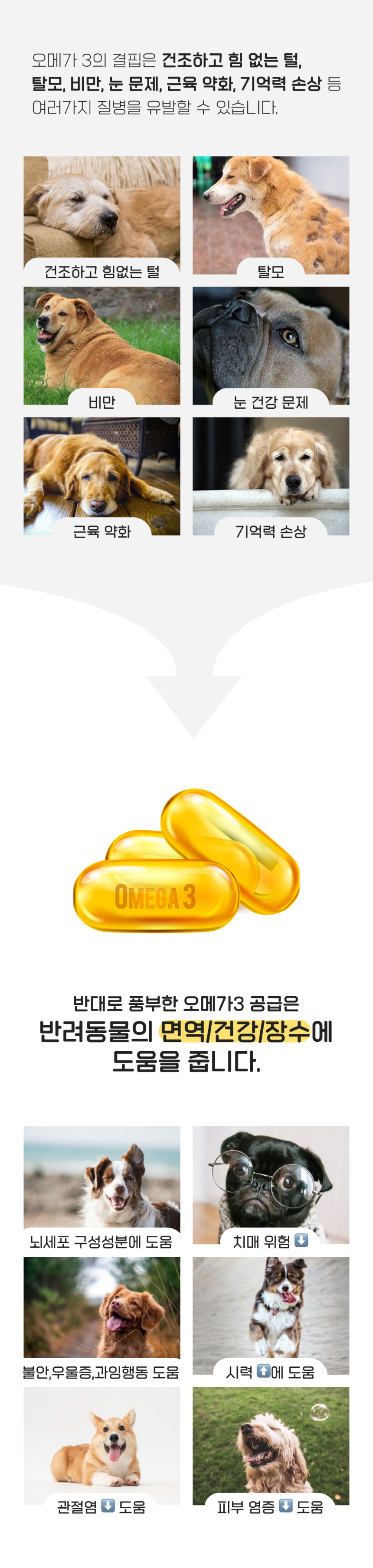 [창고대방출] 오래살개 독 하루오메가 저키 70g 3종 세트 (오리지널/치즈/곤약) 1번째
