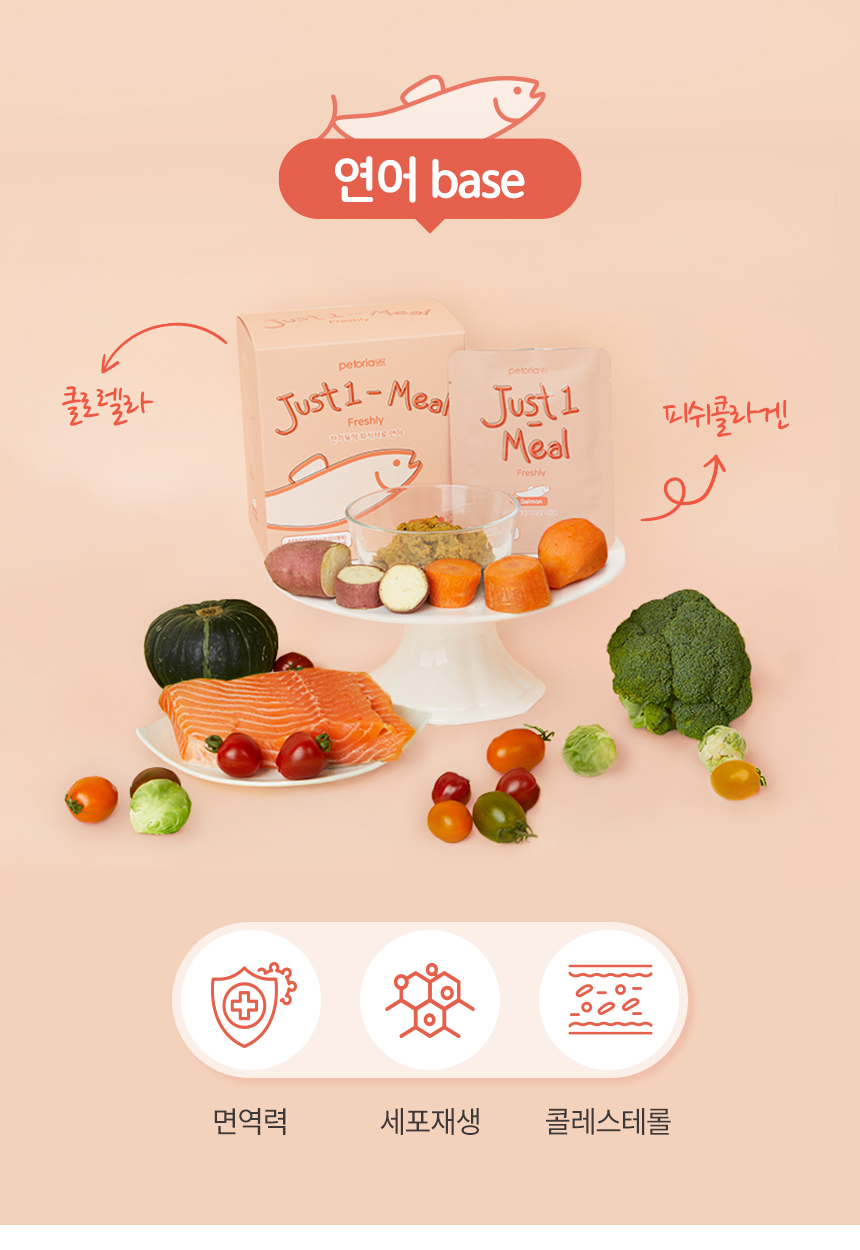 [무료배송] 펫토리아 한끼뚝딱 독 수제 화식 연어 80g*8ea 10번째