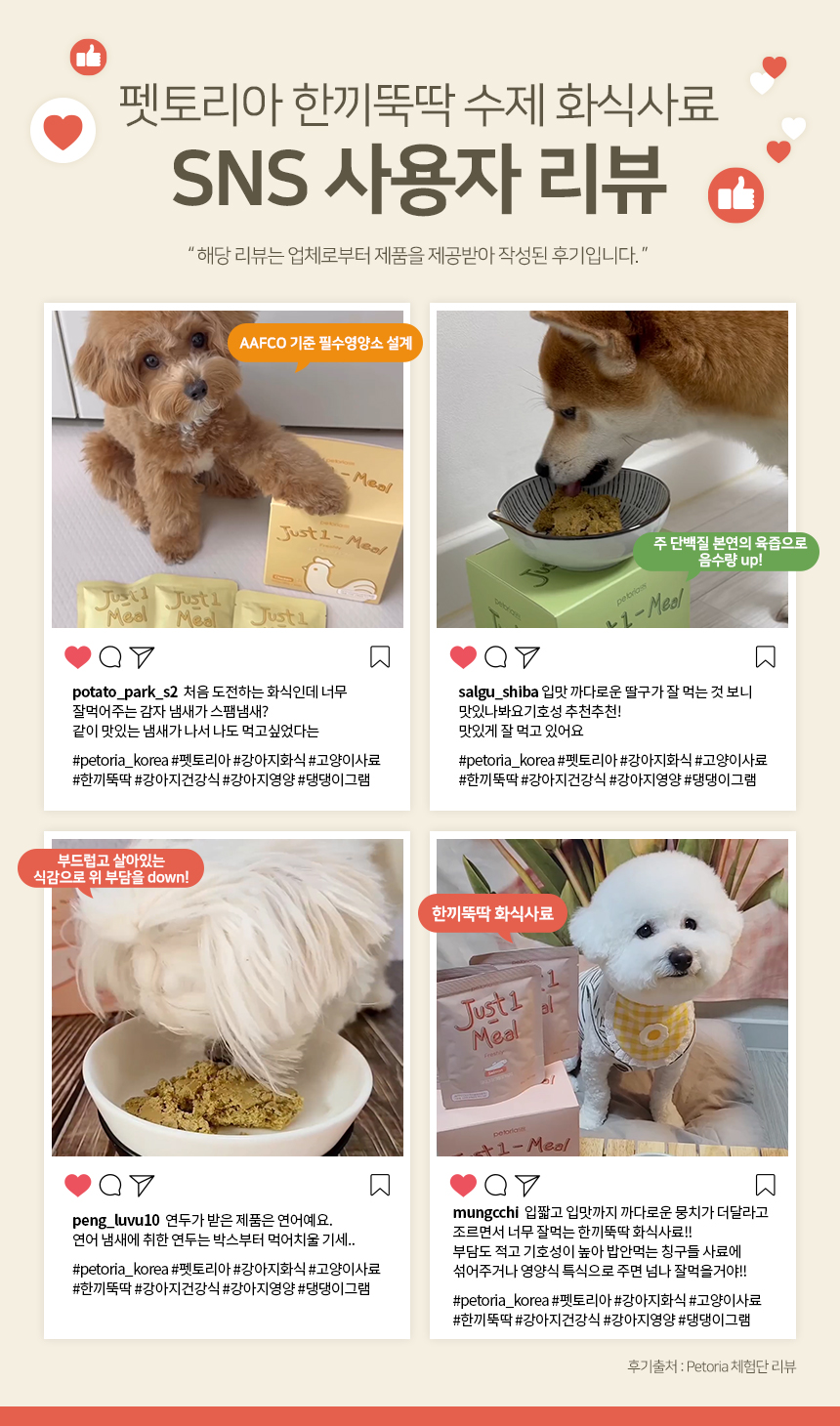 [무료배송] 펫토리아 한끼뚝딱 독 수제 화식 연어 80g*8ea 3번째