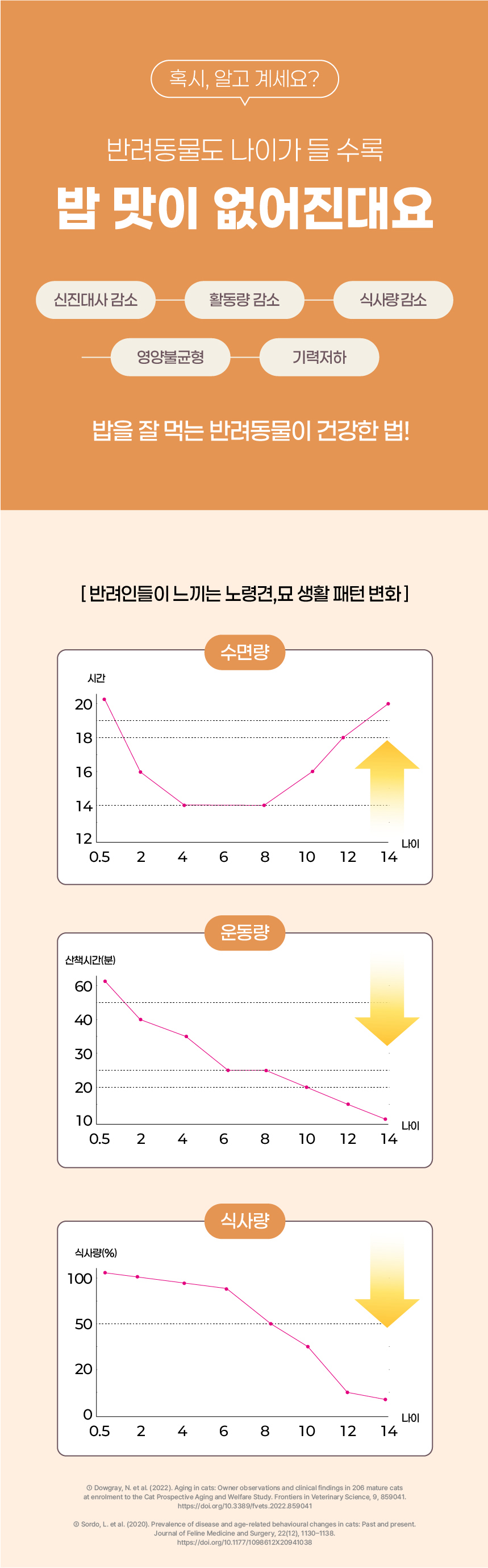 [NEW신상][무료배송] 페네핏 팔레트파우더 6종 4g*15개입 8번째