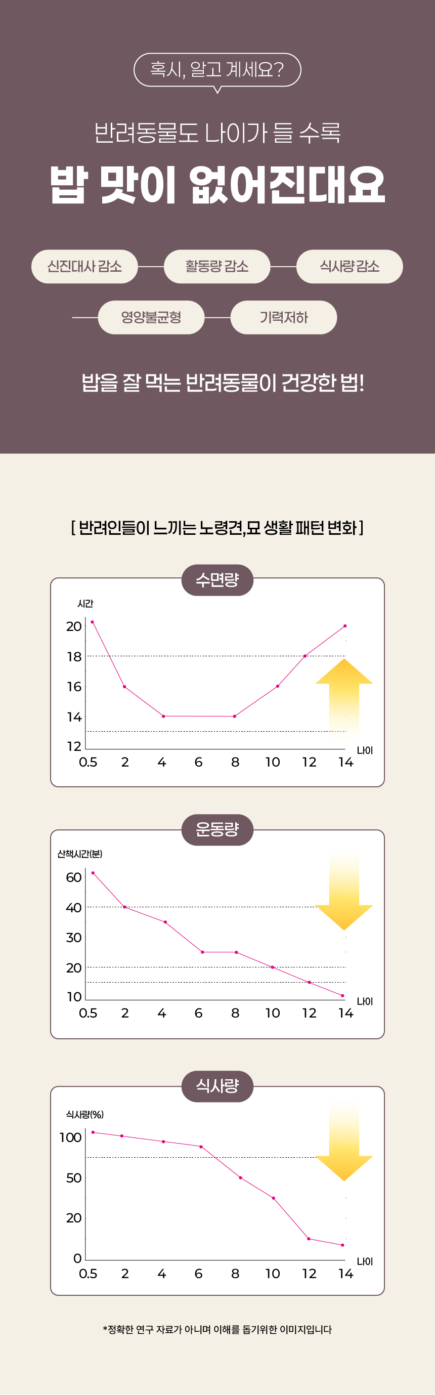 [NEW신상][무료배송] 페네핏 팔레트파우더 6종 4g*15개입 9번째