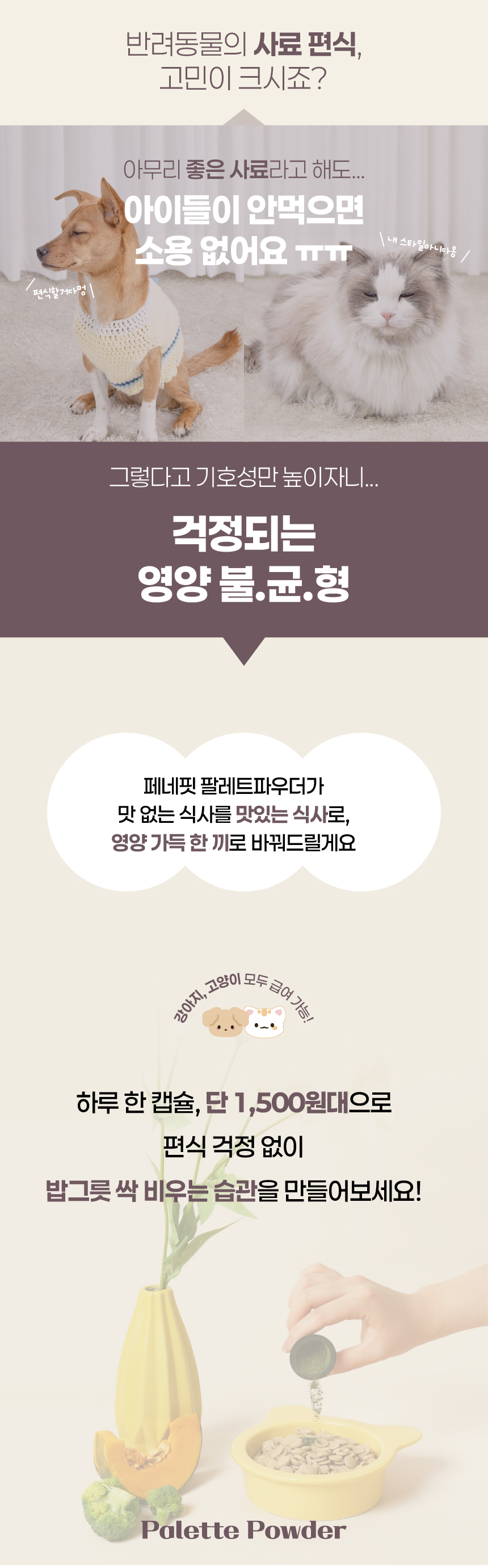 [NEW신상][무료배송] 페네핏 팔레트파우더 6종 4g*15개입 2번째