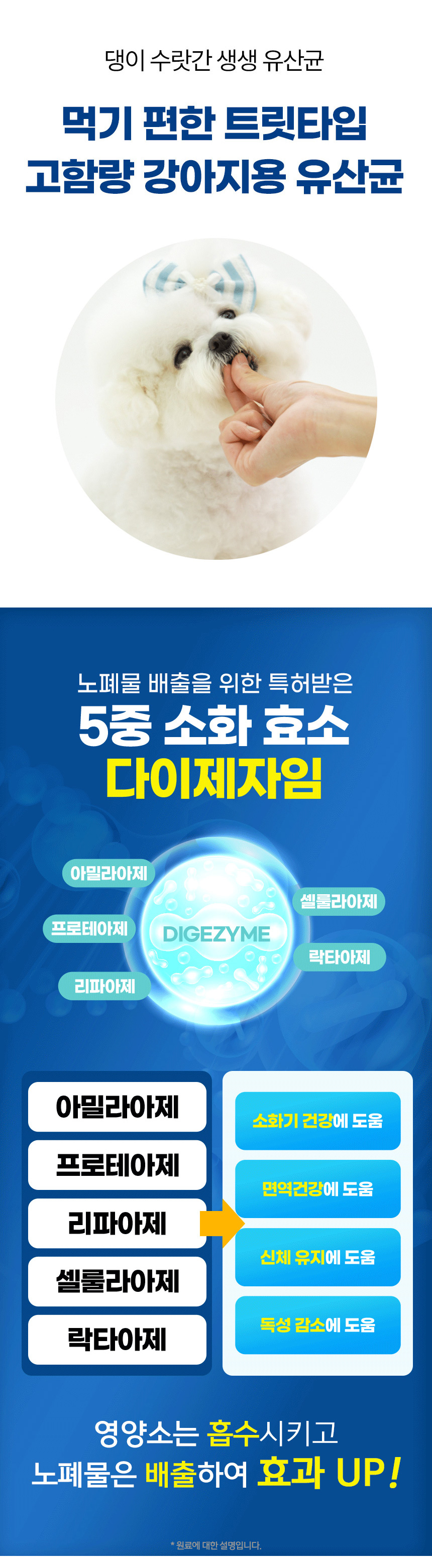 [무료배송] 댕이수랏간 강아지 생생유산균 100g 11번째