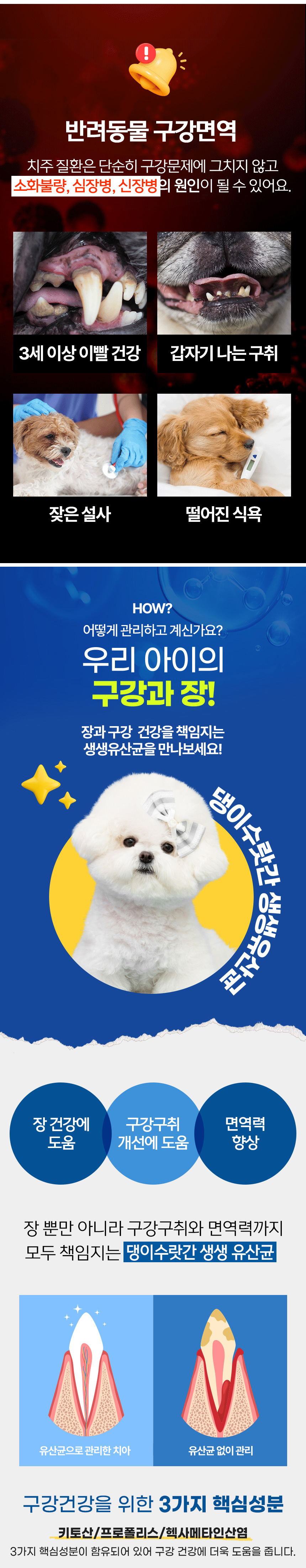 [무료배송] 댕이수랏간 강아지 생생유산균 100g 8번째