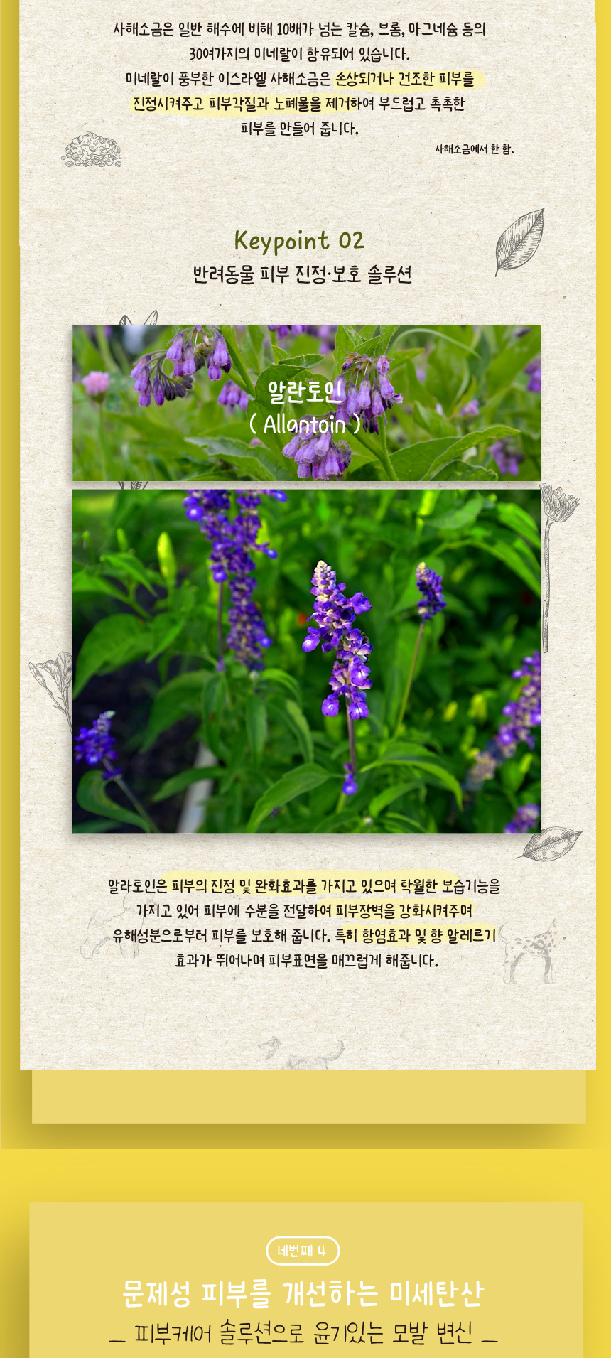 [무료배송][1+1] 애구애구 탄산스파 입욕제 200g 18번째