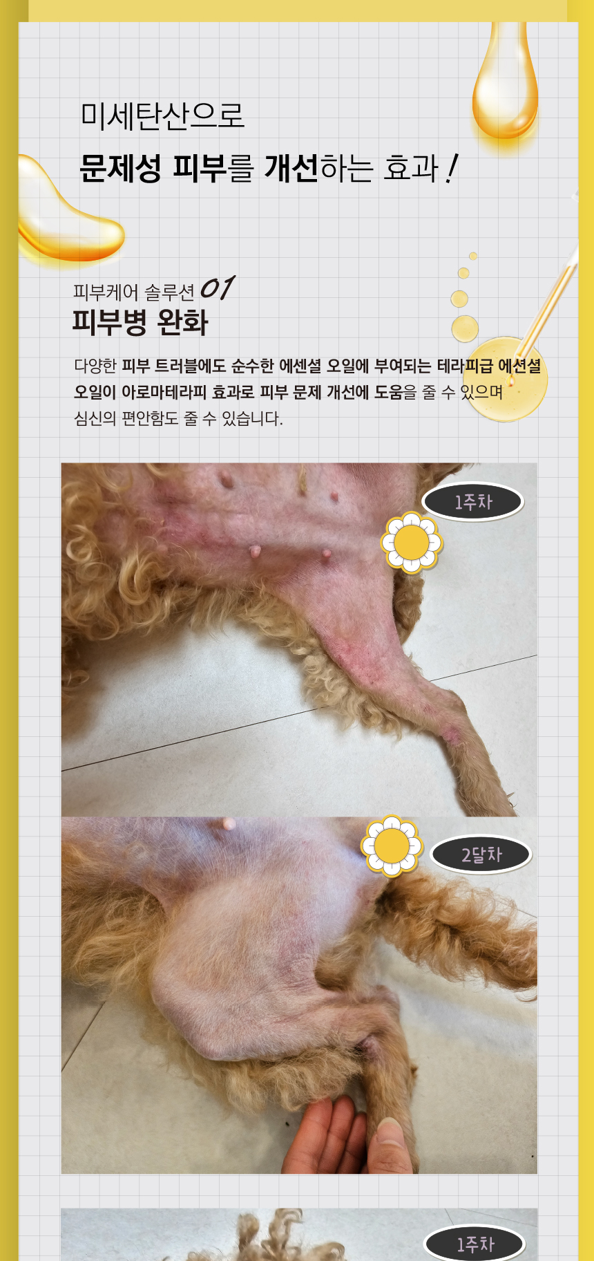 [무료배송][1+1] 애구애구 탄산스파 입욕제 200g 19번째