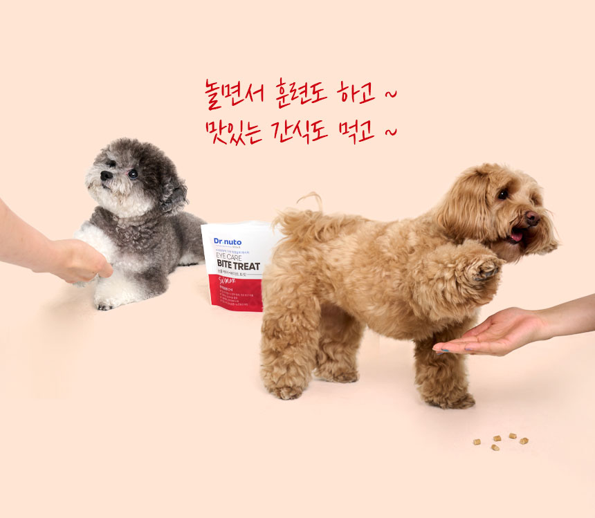 [무료배송][5개] 닥터뉴토 독 눈물케어 바이트 트릿 연어 80g 15번째