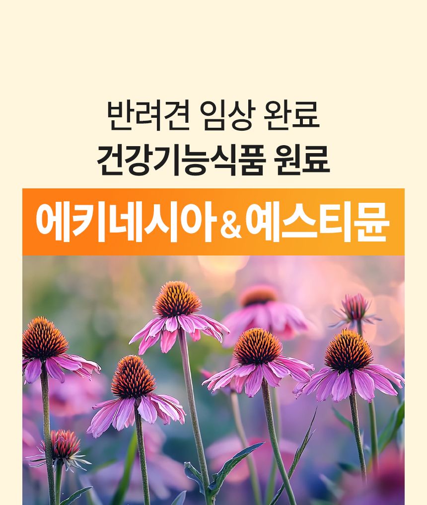 [브랜드전]펫생각 임상완료 브레스 프로 기관지 협착증 호흡기 면역 영양제 60정 22번째