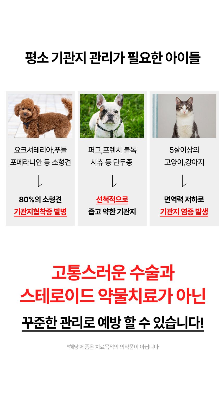 [브랜드전]펫생각 임상완료 브레스 프로 기관지 협착증 호흡기 면역 영양제 60정 14번째