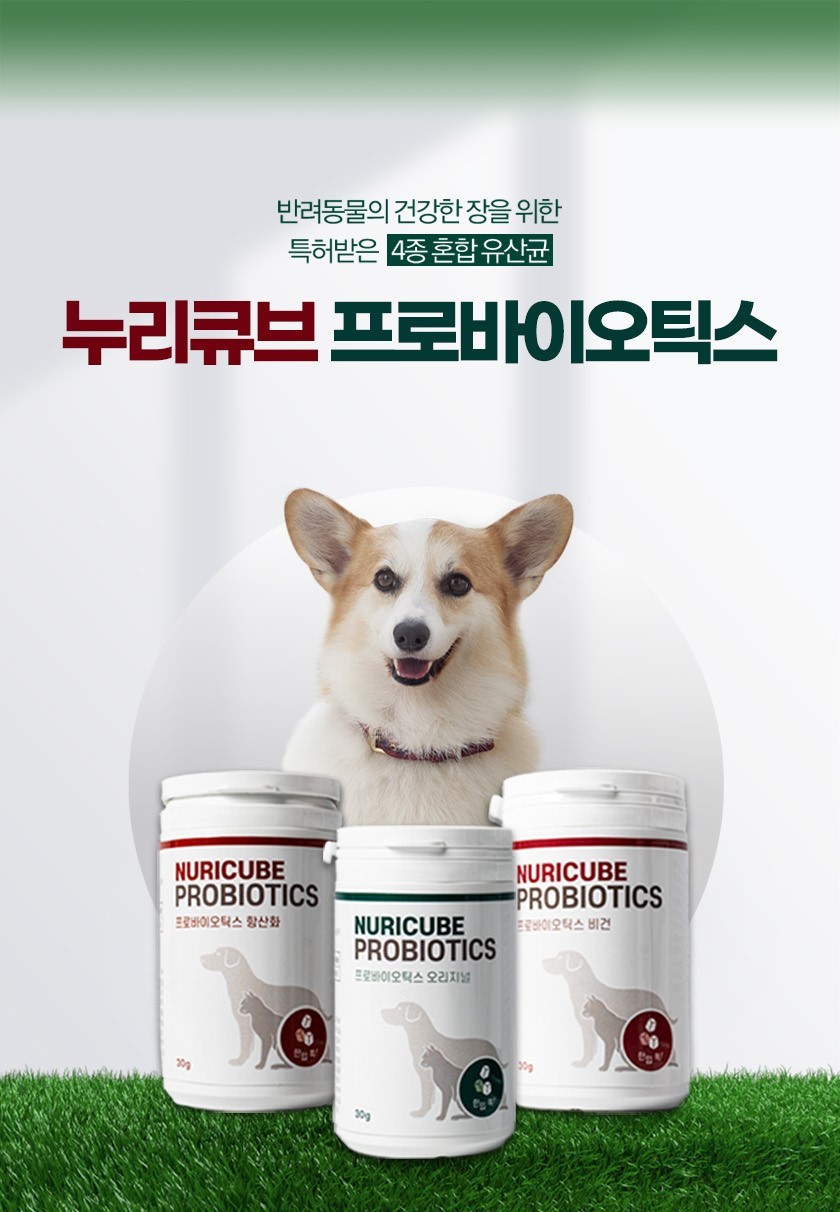[무료배송] 누리큐브 프로바이오틱스 항산화 30g 2번째