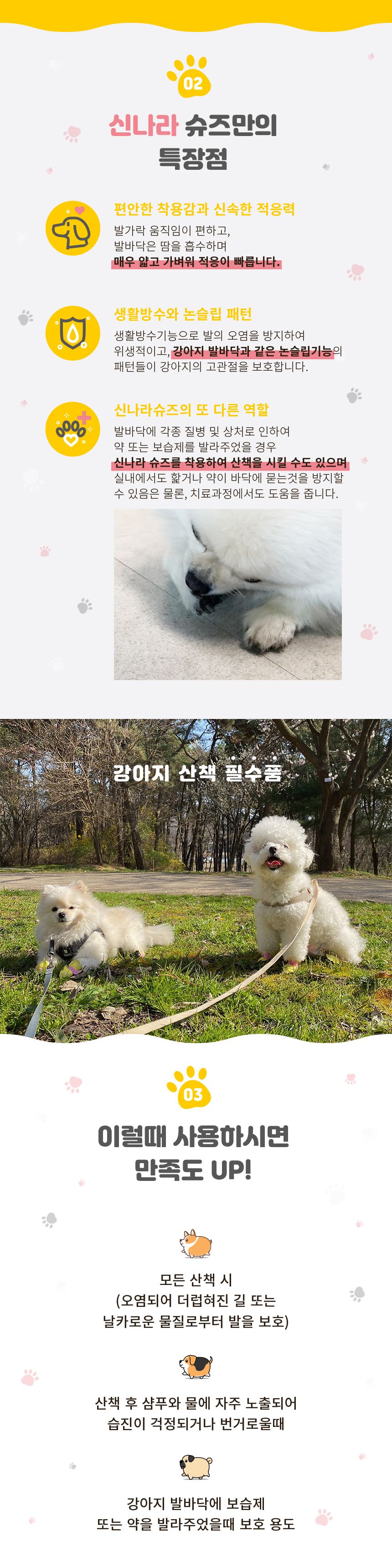 와우 독 신나라 슈즈 80매 소형/중형 5번째
