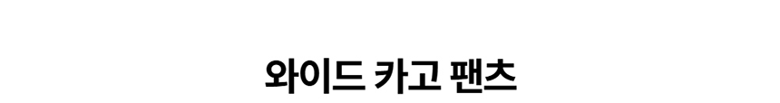 [NEW신상][무료배송] 데이일 털 안 붙는 와이드 카고 팬츠 1번째