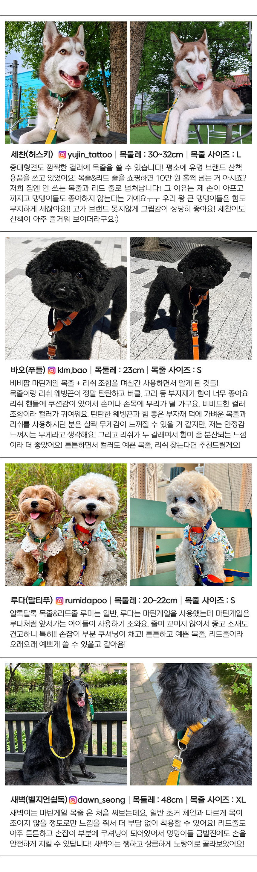 [무료배송] 스펠 비비팝 마틴게일 세트 오렌지/네이비/옐로우/그린 S-2XL 7번째