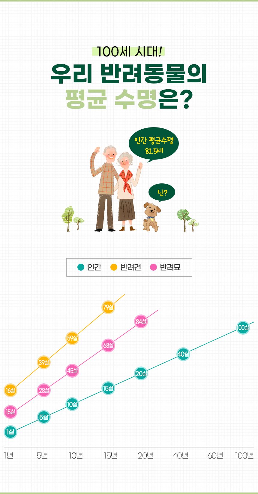 [무료배송] 뉴메디션 포 이뮤니티 60g 2번째