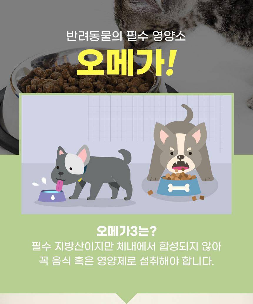 [무료배송] 뉴메디션 포 이뮤니티 60g 4번째