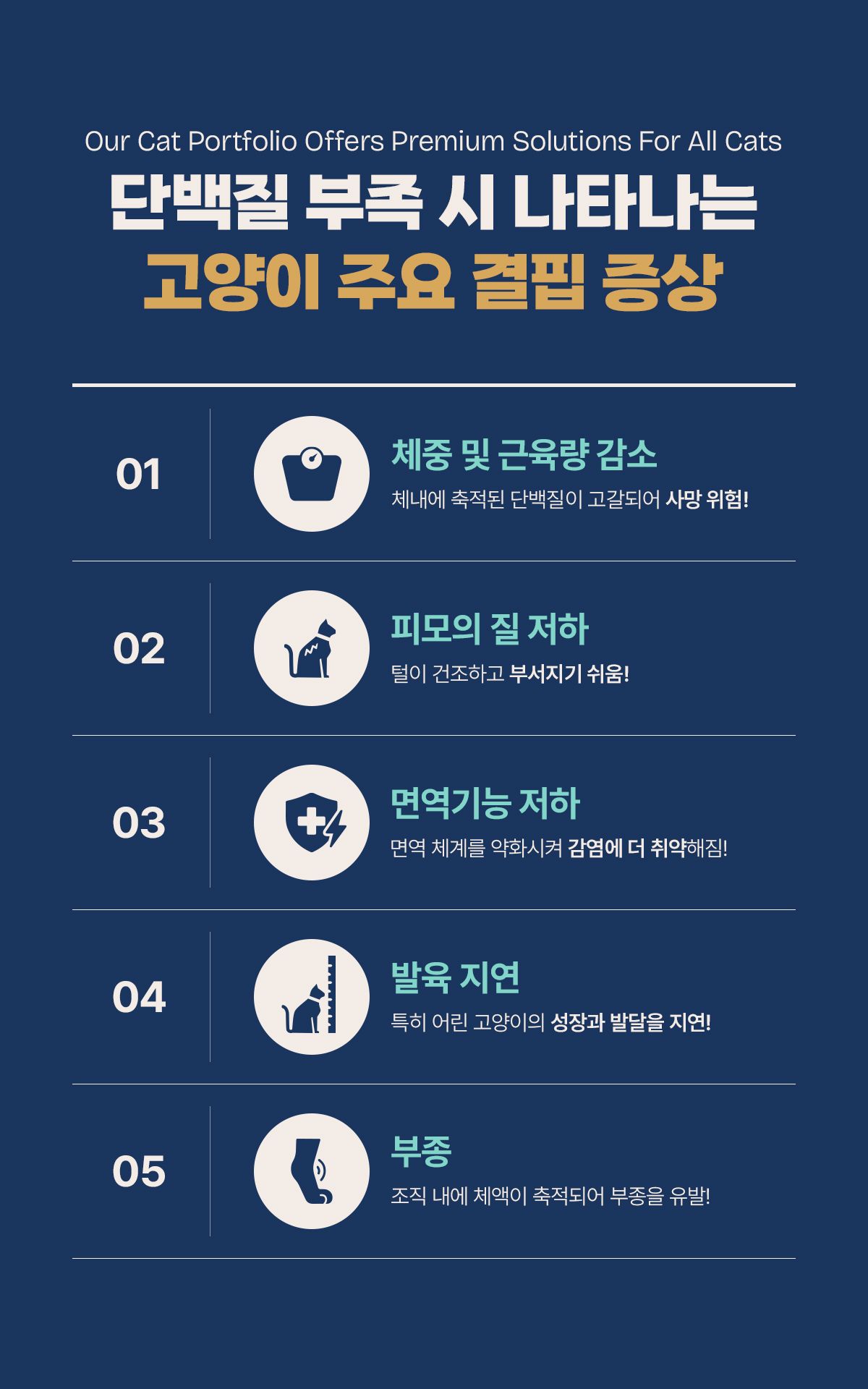[NEW신상]내추럴발란스 캣 울트라 프로틴 리얼 덕 파테 레시피 캔 79g 2번째