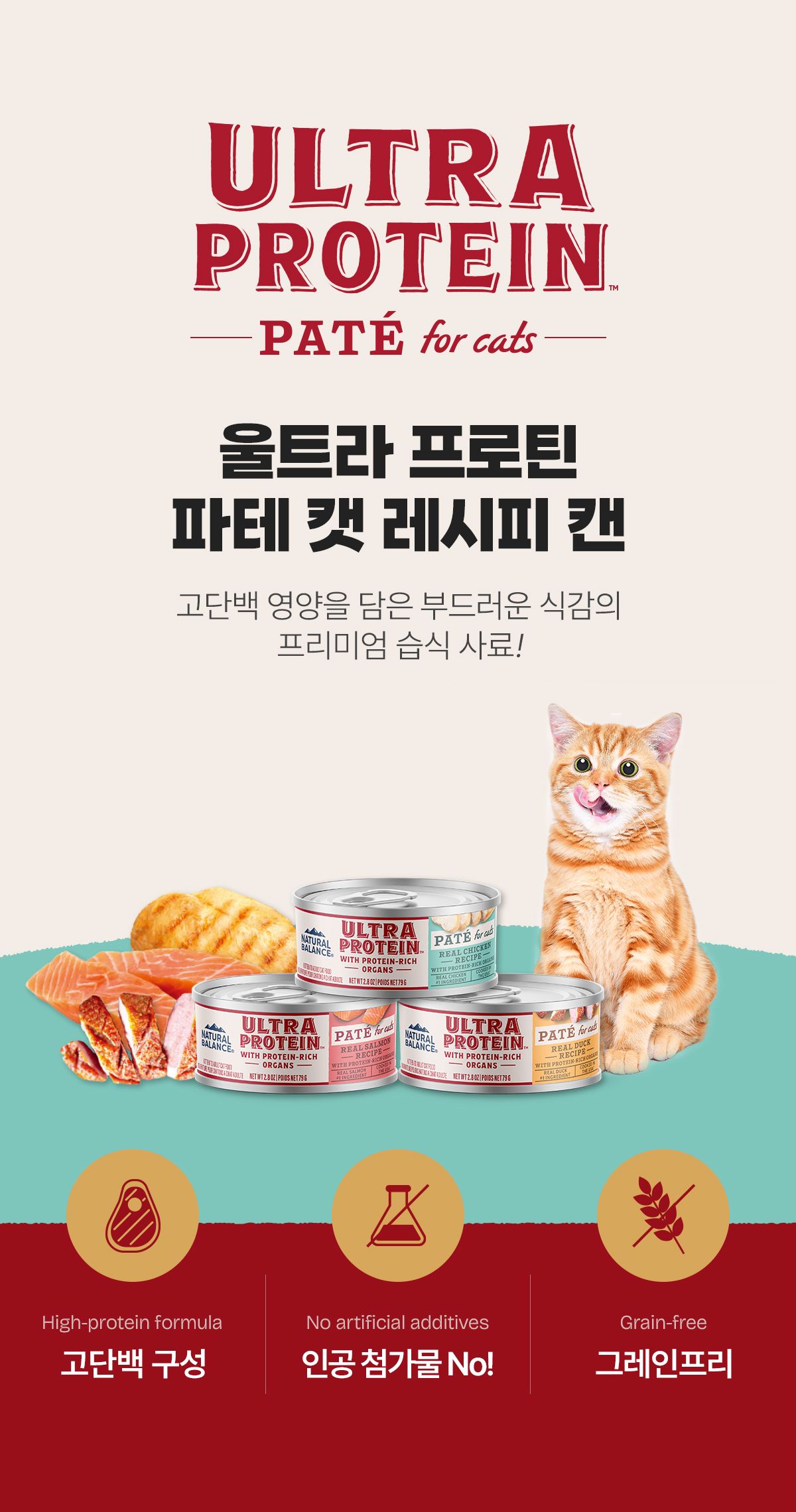 [NEW신상]내추럴발란스 캣 울트라 프로틴 리얼 덕 파테 레시피 캔 79g 10번째