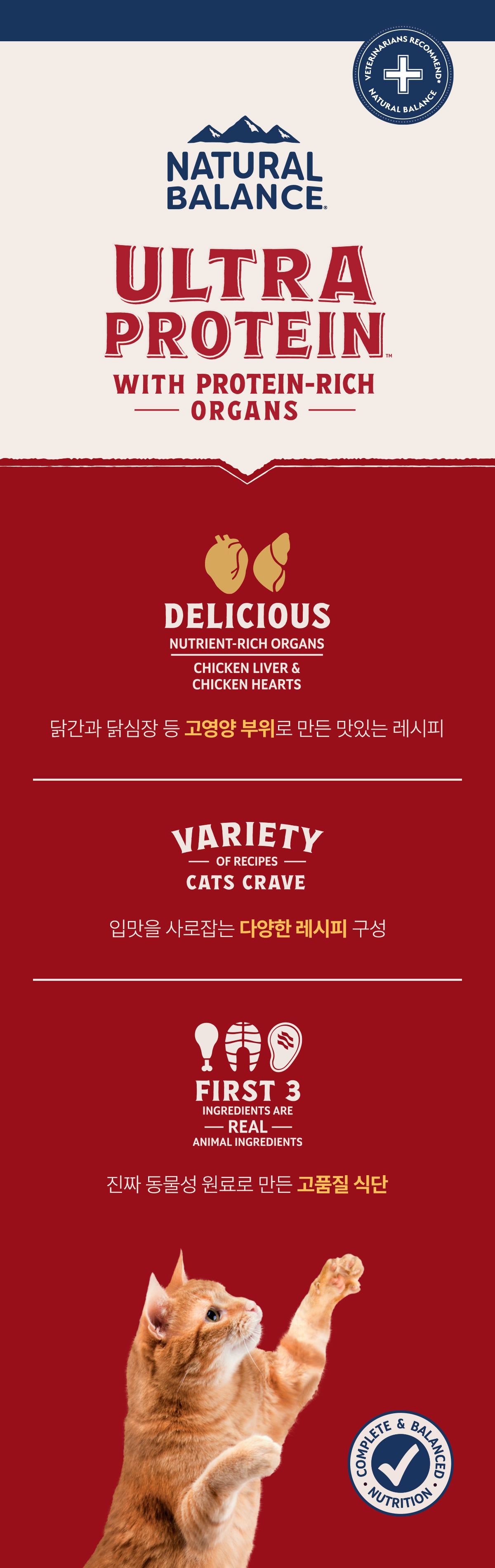 [NEW신상]내추럴발란스 캣 울트라 프로틴 리얼 덕 파테 레시피 캔 79g 9번째