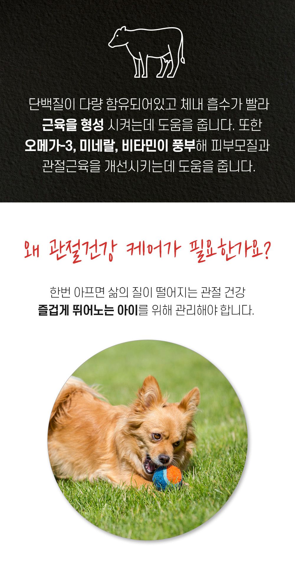 더텐 독 소프트 반건조 소고기&관절 1kg 6번째
