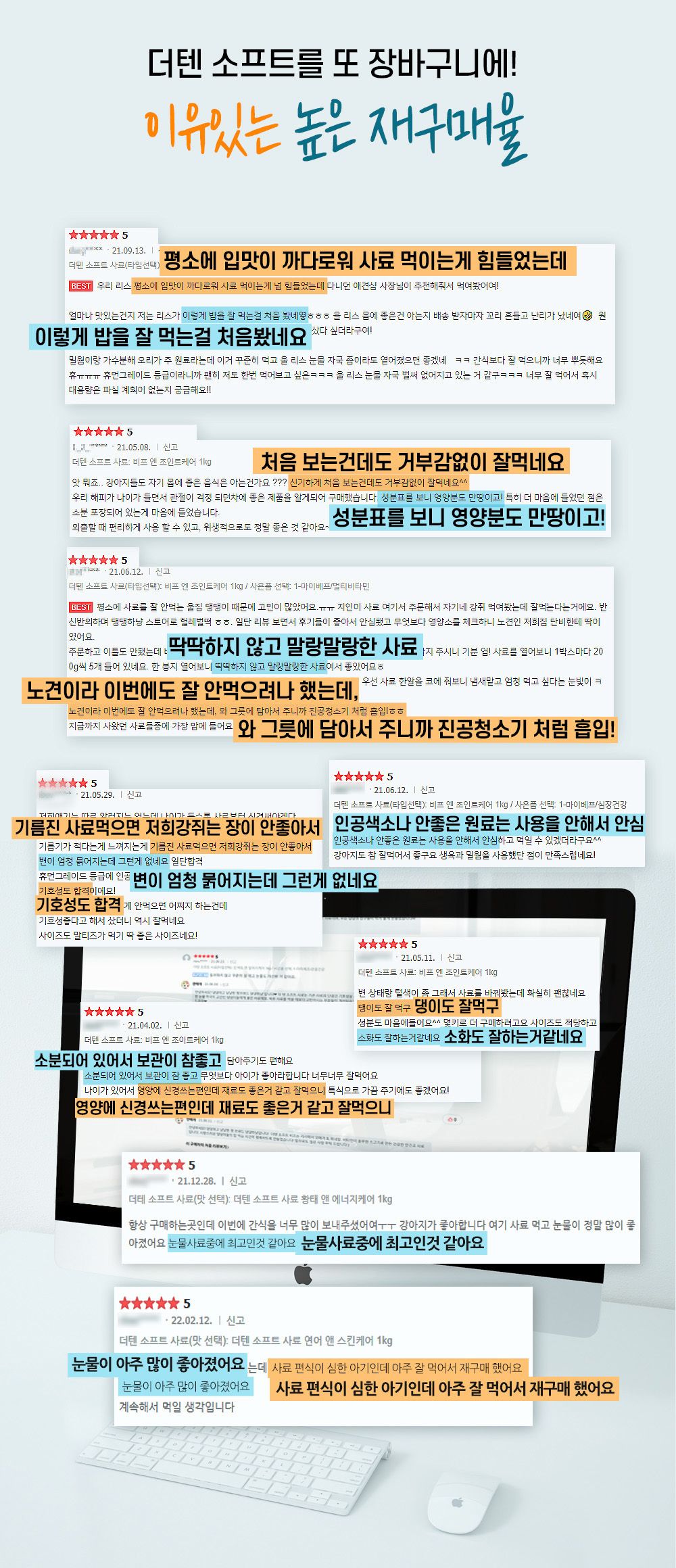 더텐 독 소프트 반건조 소고기&관절 1kg 2번째