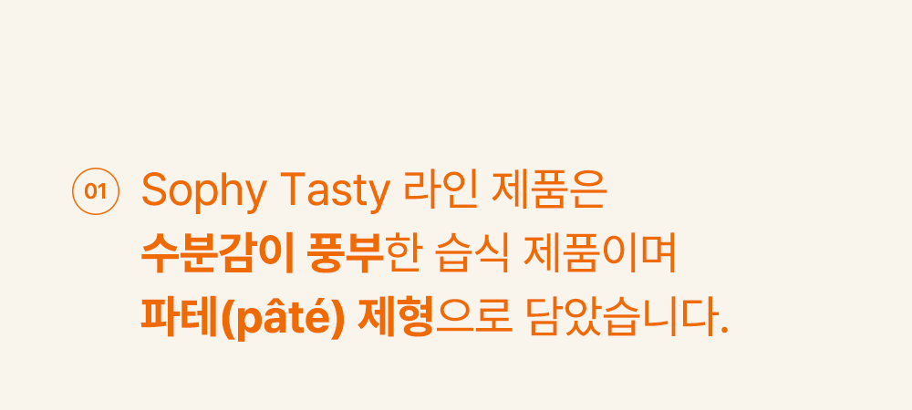 조공 소피 캣 테이스티 닭 90g 26번째