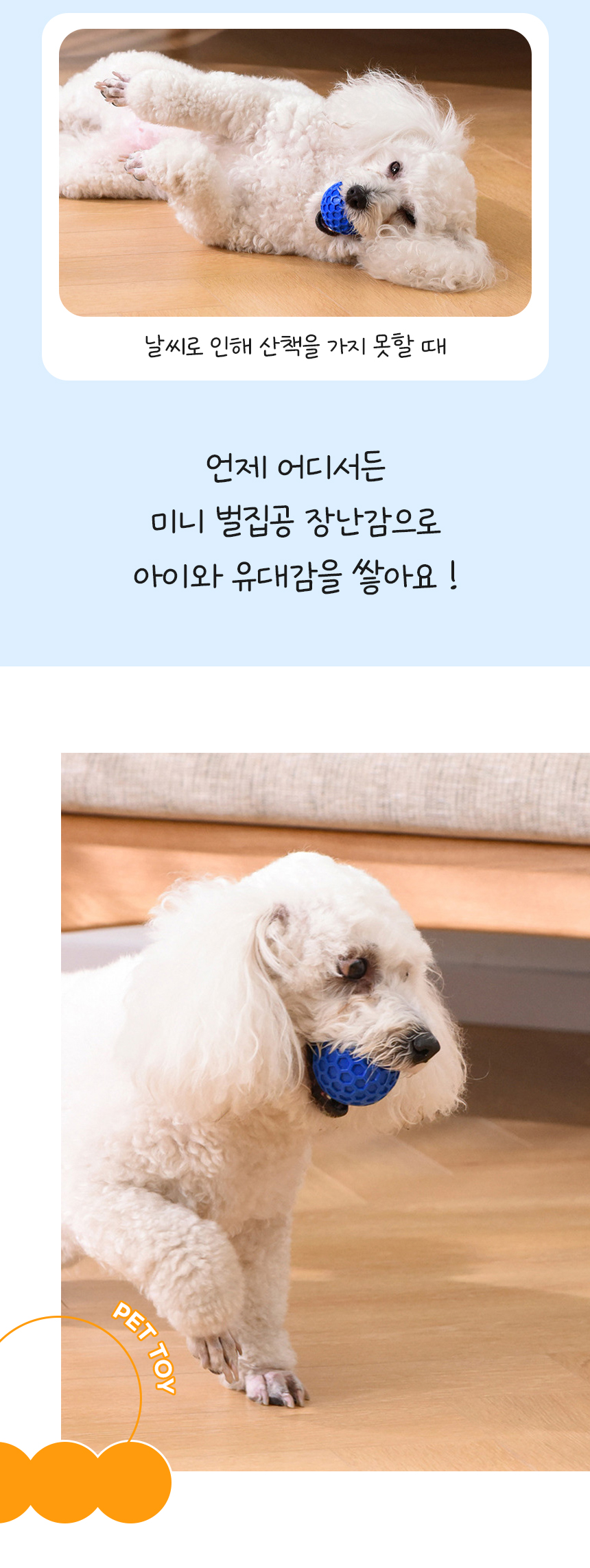 [NEW신상][무료배송] [2개] 개과천선 독 미니 벌집공 장난감 (색상랜덤) 5번째
