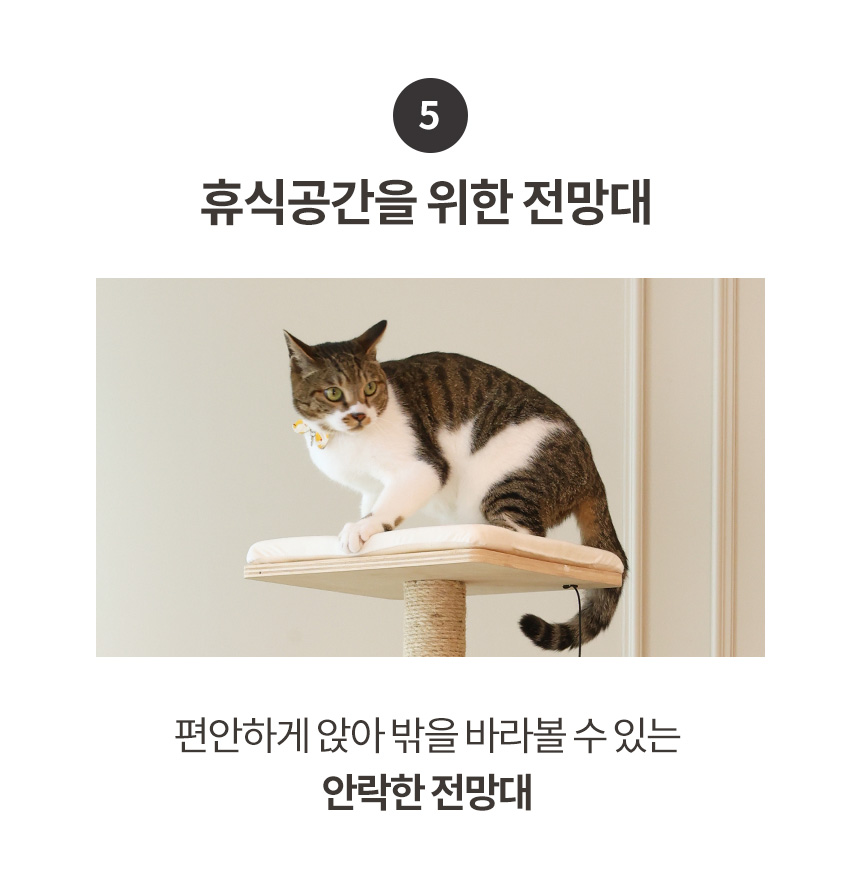 [무료배송] 펫토리아 GP 투명 해먹 고양이 원목 캣타워 대형 155cm 16번째
