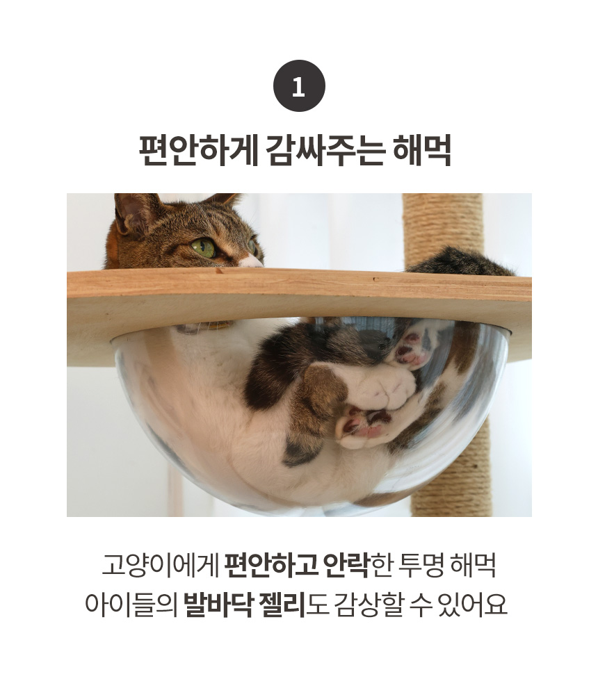 [무료배송] 펫토리아 GP 투명 해먹 고양이 원목 캣타워 대형 155cm 10번째