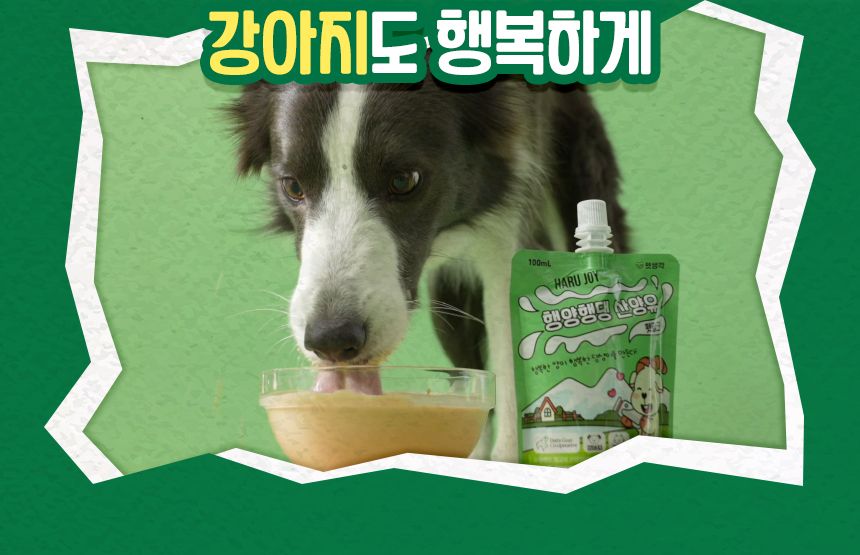 [NEW신상]펫생각 하루조이 행양행댕 뉴질랜드 산양유 펫밀크 100ml  11번째