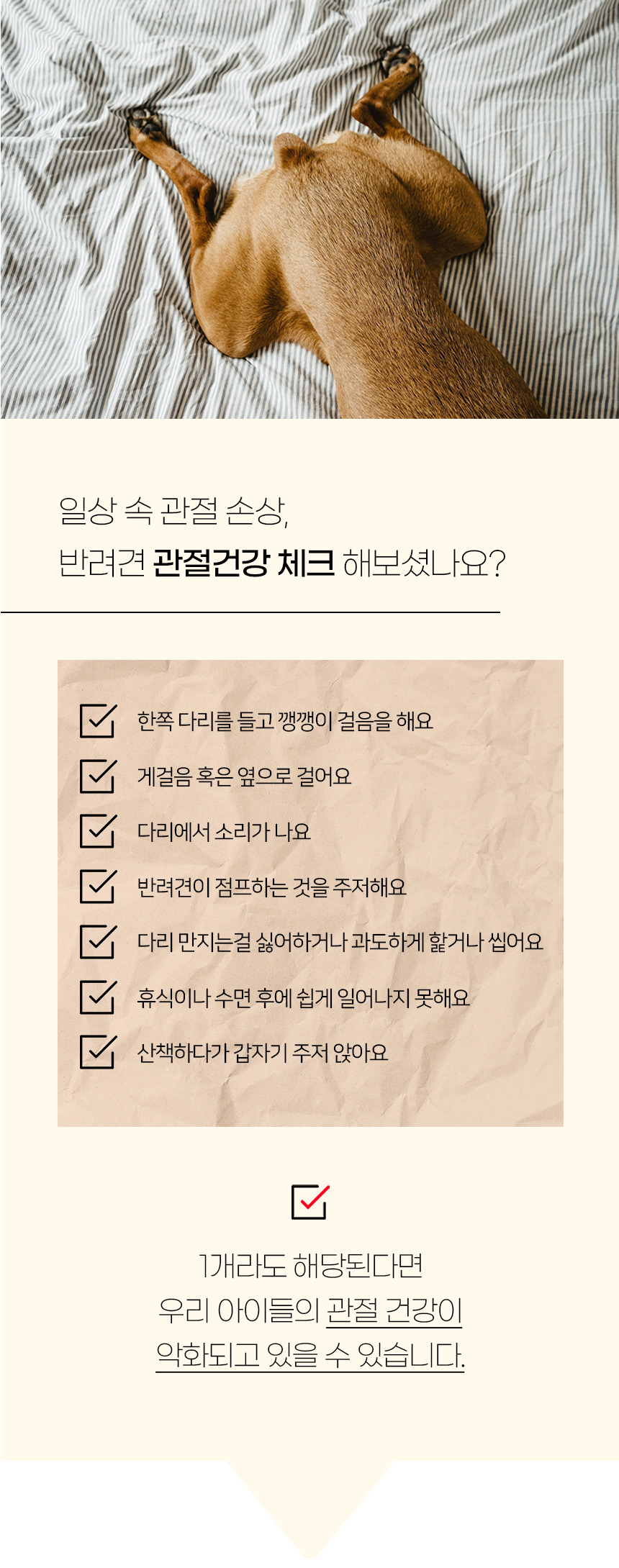 [NEW신상][무료배송] 개과천선 독 파스텔 펫스텝 계단 (베이지/블루) 4번째