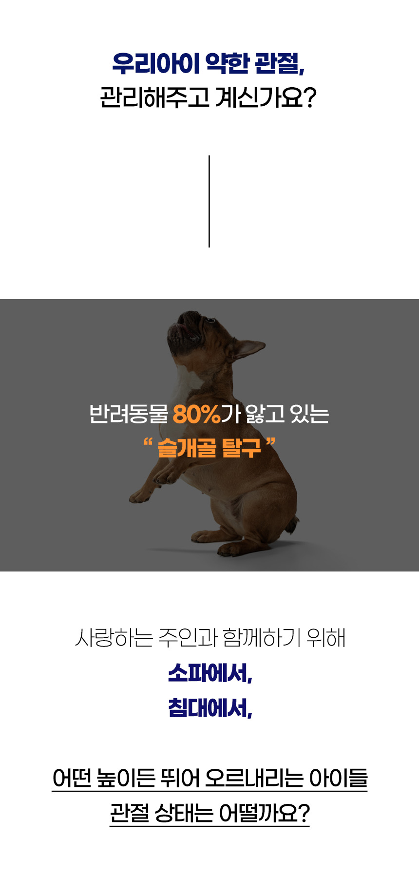 [NEW신상][무료배송] 개과천선 독 파스텔 펫스텝 계단 (베이지/블루) 2번째