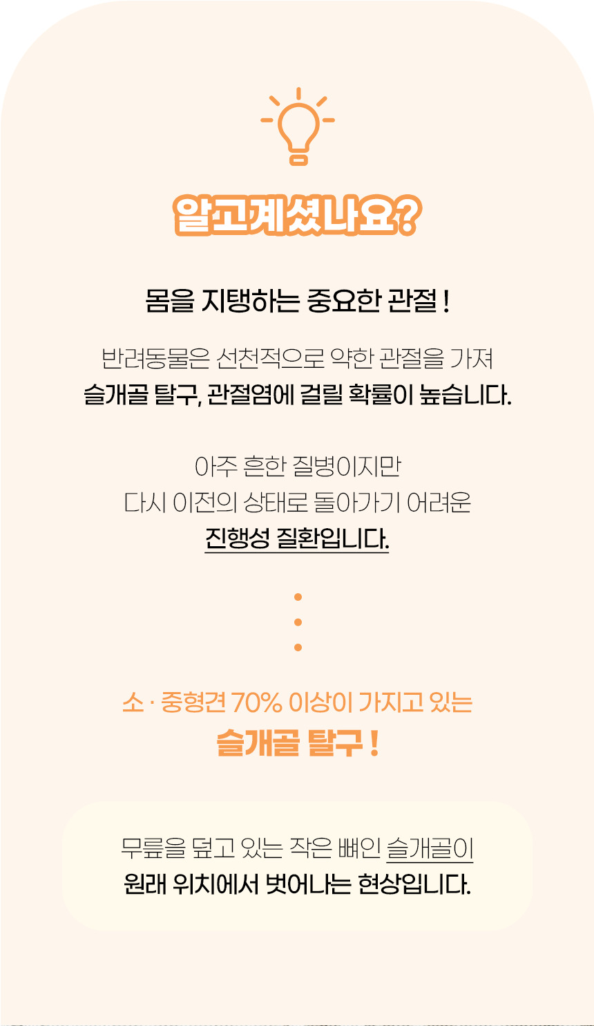 [NEW신상][무료배송] 개과천선 독 파스텔 펫스텝 계단 (베이지/블루) 3번째