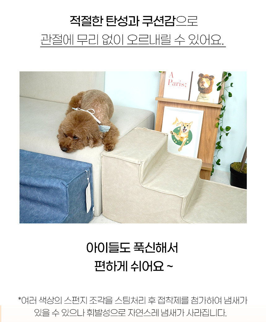 [NEW신상][무료배송] 개과천선 독 파스텔 펫스텝 계단 (베이지/블루) 12번째
