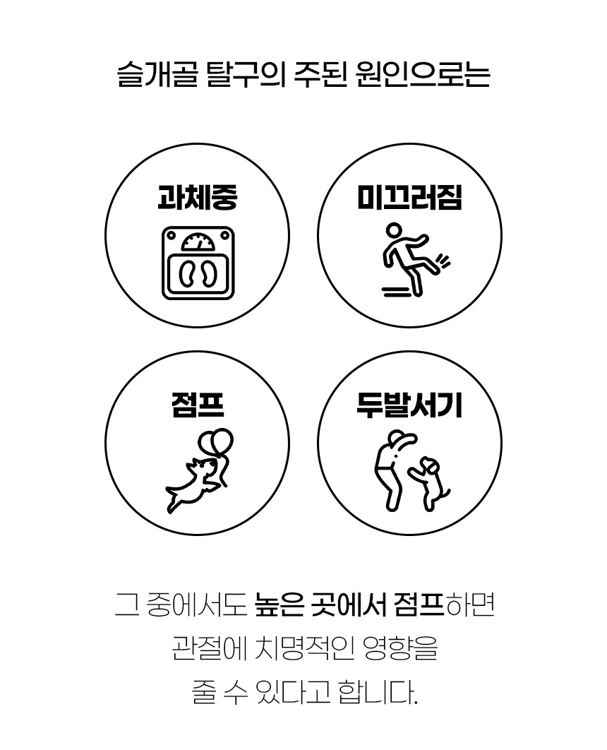 [NEW신상][무료배송] 개과천선 독 파스텔 펫스텝 계단 (베이지/블루) 5번째