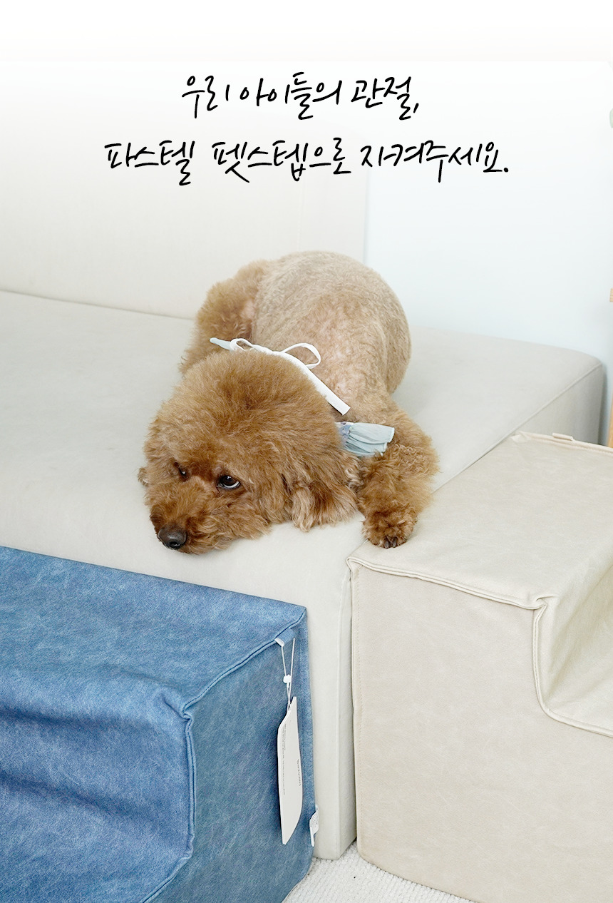 [NEW신상][무료배송] 개과천선 독 파스텔 펫스텝 계단 (베이지/블루) 6번째